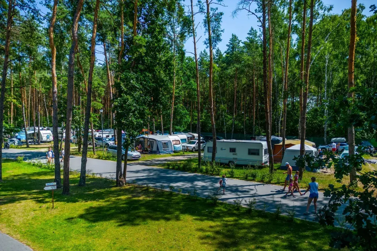 Ośrodek wypoczynkowy Zagłębocze tętni życiem. Kemping pełen przyczep, kamperów i namiotów, wśród sosen. Rodziny spacerują pośród zieleni.