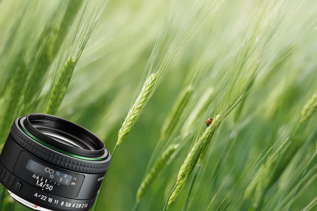 Najlepsze obiektywy do Pentaxa K-50, które poprawią Twoje zdjęcia