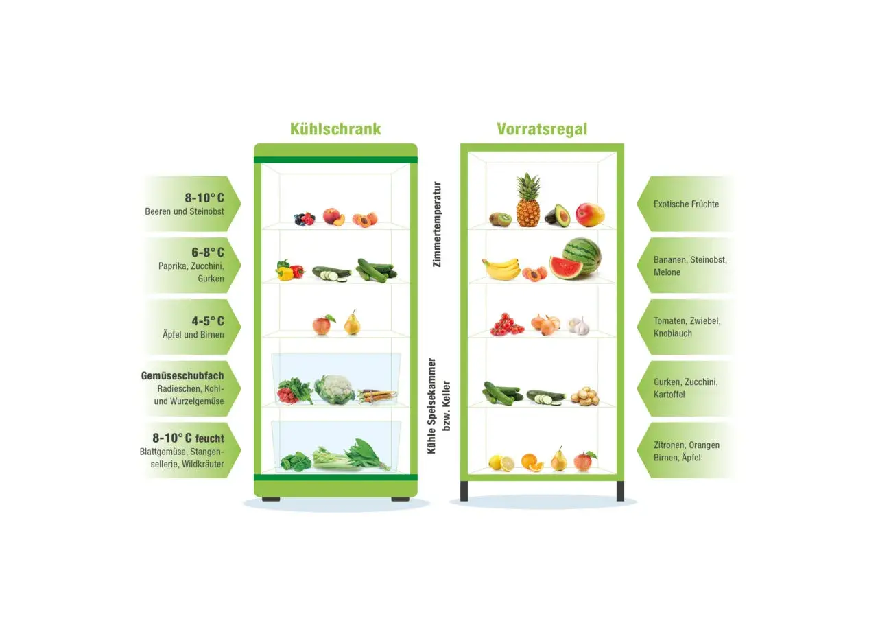 Sommerliche Vielfalt: Kühlschrank und Vorratsregal zeigen, wie Obst und Gemüse optimal gelagert werden.
