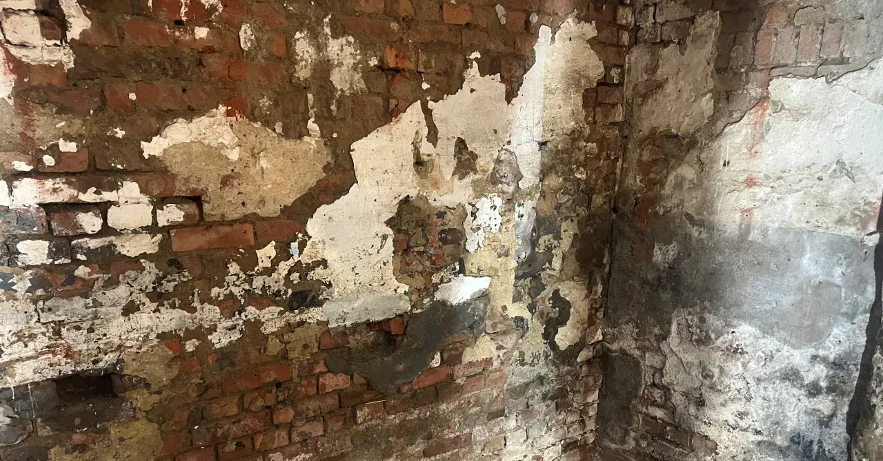 Abblätternder Putz an einer Ziegelwand im Keller. Die Feuchtigkeit deutet auf dringenden Bedarf an einer Kellerabdichtung hin, um die Kosten für weitere Schäden zu minimieren.