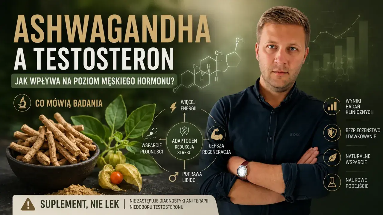 Ashwagandha a testosteron: jak wpływa na poziom męskiego hormonu? Badania, wsparcie płodności, energia, redukcja stresu.