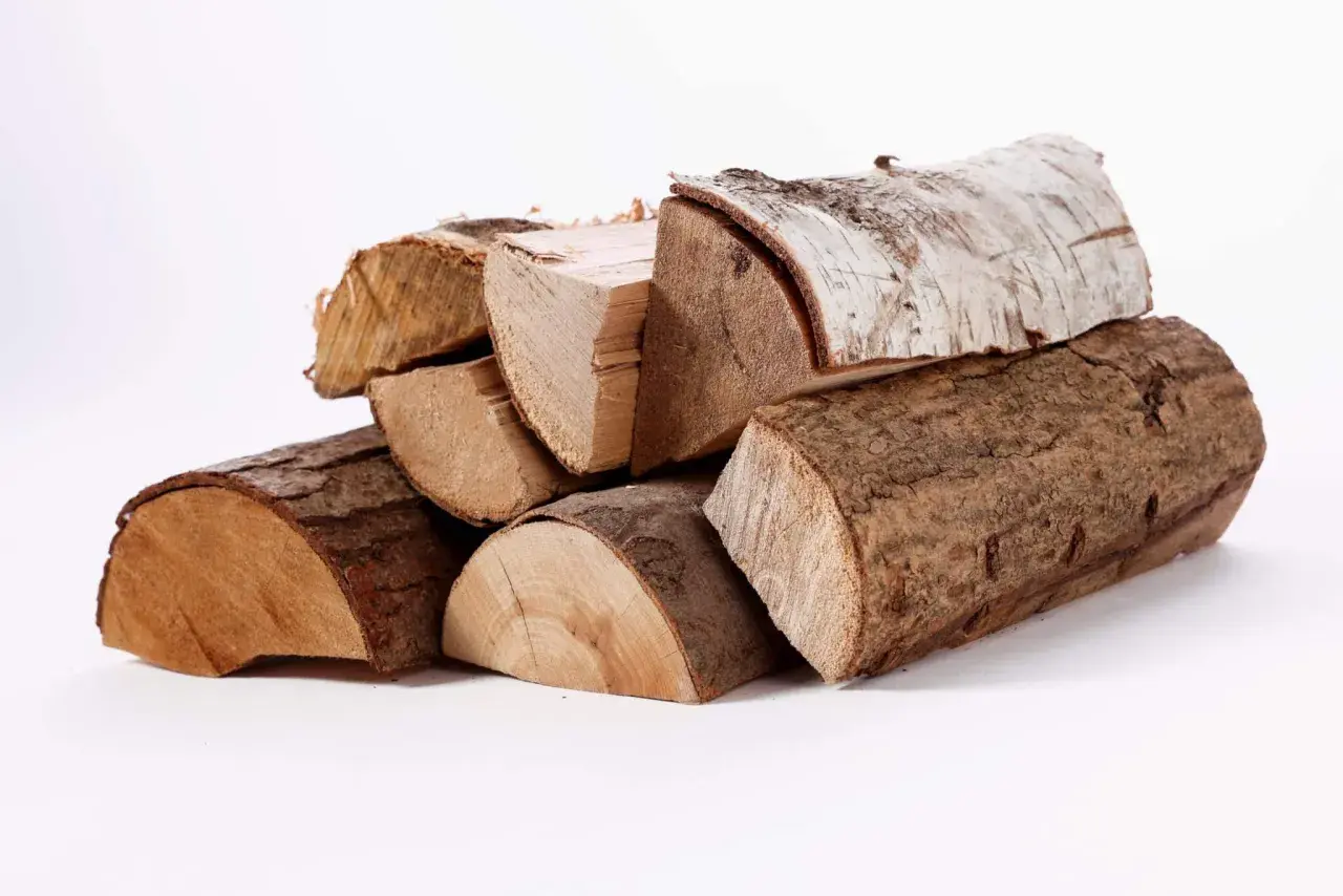 Un tas de bois g1, certains avec écorce, d'autres coupés, prêts pour un feu de cheminée.