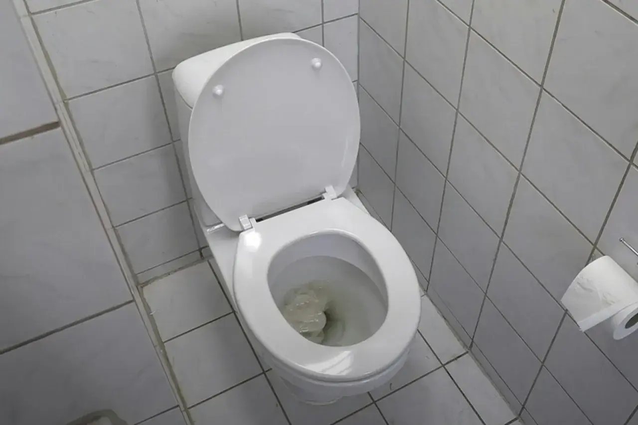 En vit toalett med öppet lock och papper i skålen, vilket indikerar ett stopp i toaletten.