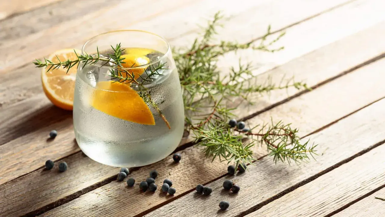 Erfrischendes Getränk mit Zitrone und Wacholder. Auch in der Schwangerschaft kann man sich mit einem alkoholfreien Tonic Water erfrischen.