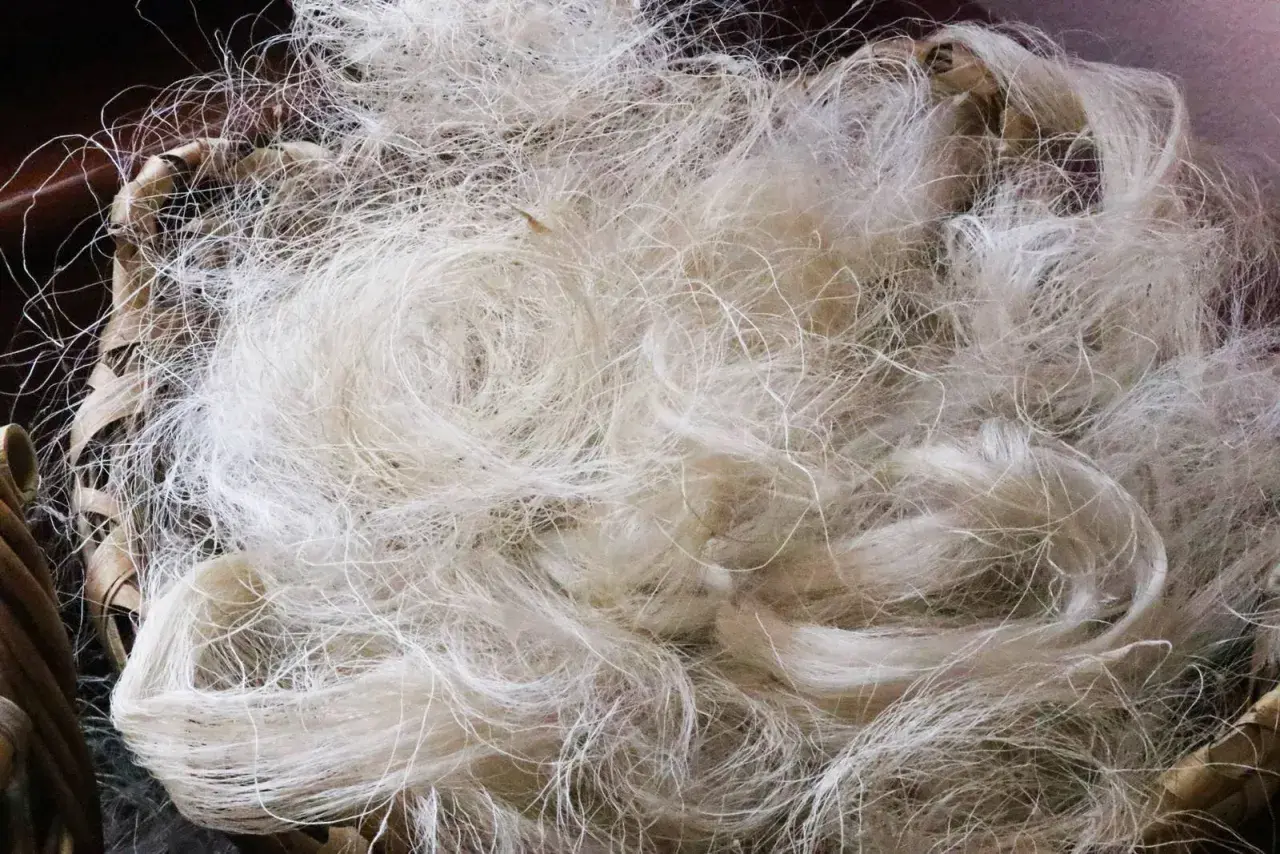 Fibre brute, prête pour la fabrication de la soie. Un tas de fils blancs et fins dans un panier en osier.