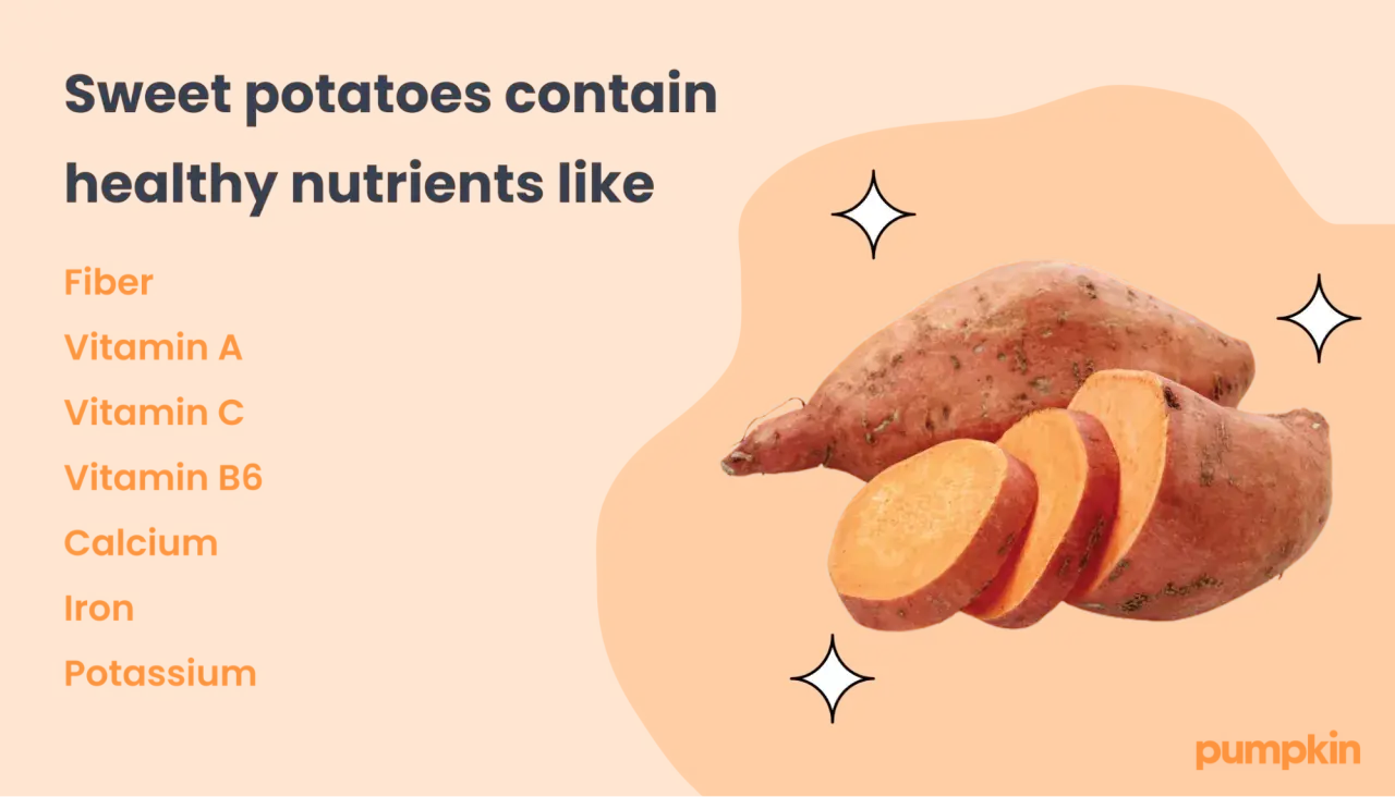 Sweet potatoes are packed with nutrients like fiber and vitamins, making them a healthy treat. So, can dogs eat sweet potatoes? Yes!