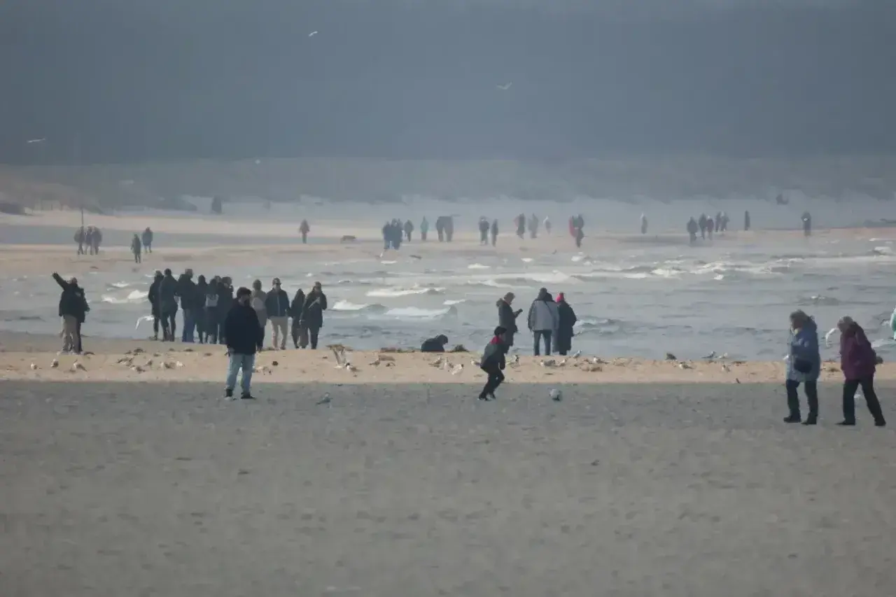 Ludzie spacerują po plaży, ciesząc się chłodnym klimatem. W oddali widać morze i mewy.