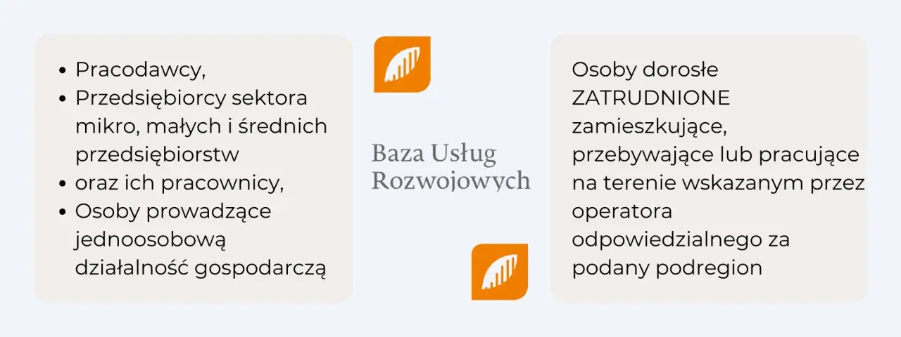 Baza Usług Rozwojowych: Jak zdobyć dofinansowanie krok po kroku?
