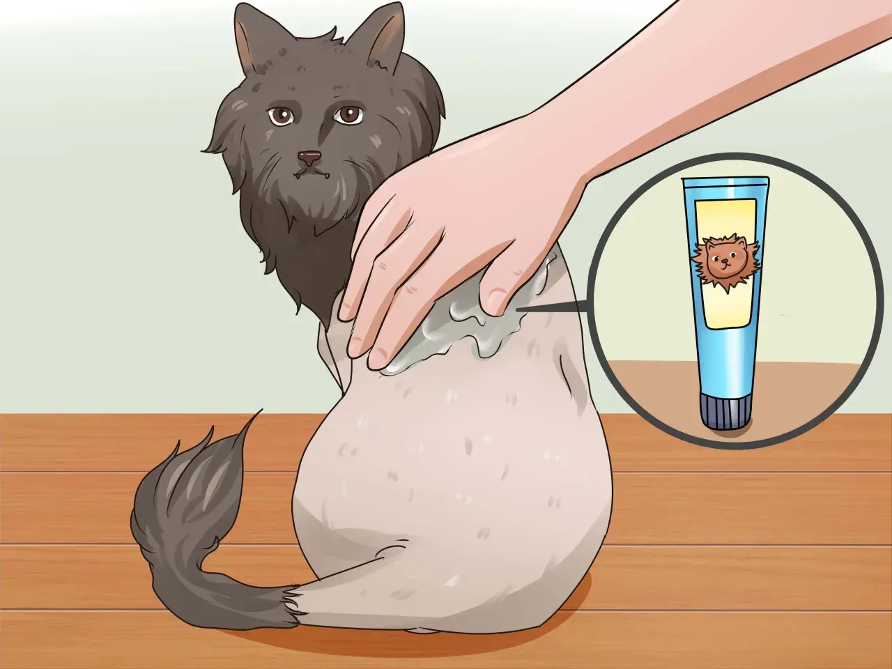 A hand applies cream to a fluffy cat's back, showing a tube of cream with a lion-like cat on it. This illustrates how to shave a cat.