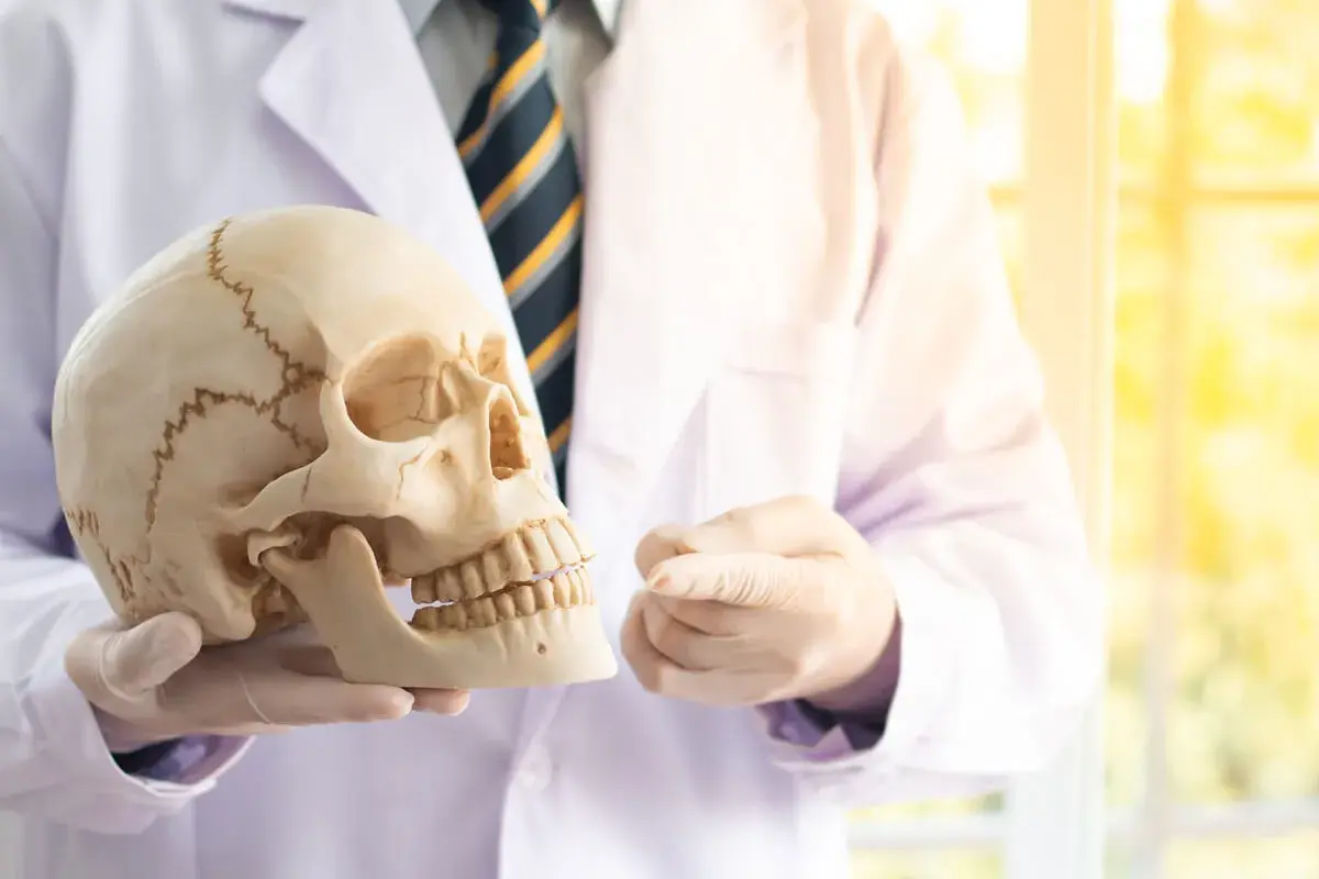 Jak uczyć się anatomii? Opanuj ją mądrze, nie ciężej!