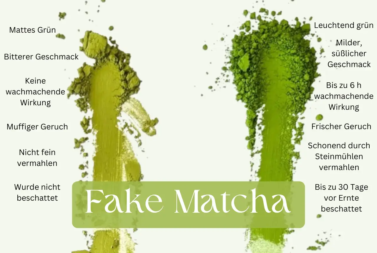Vergleich von "Fake Matcha" (links, mattgrün, bitter) mit hochwertigem, zeremoniellen Matcha (rechts, leuchtend grün, mild, süßlich).