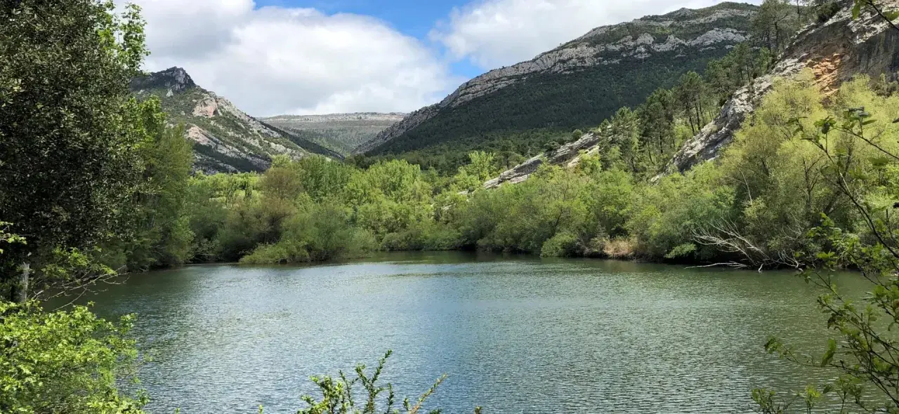 Un río serpentea entre montañas verdes y frondosos árboles. El cielo azul con nubes blancas corona el paisaje, invitando a recorrer sus gr 99 etapas.
