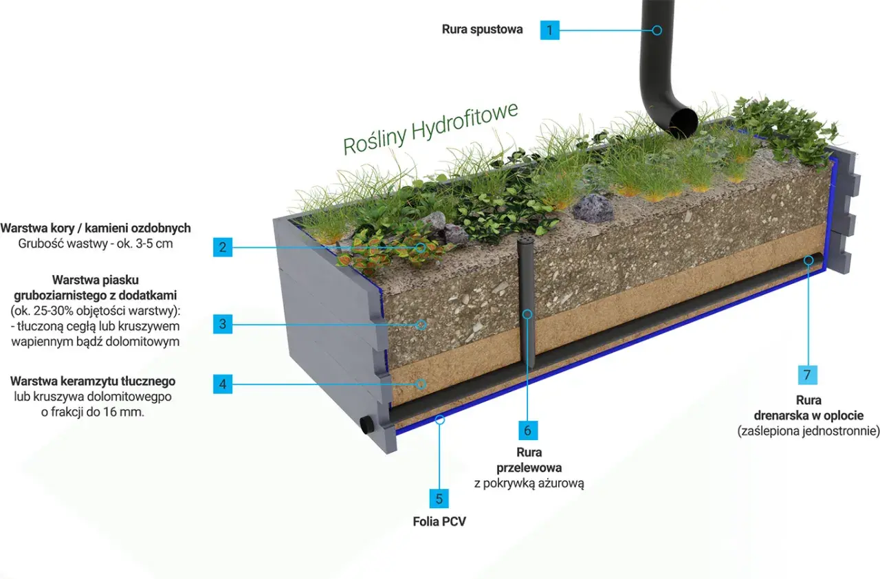 Przekrój ogrodu deszczowego z roślinnością hydrofitową, pokazujący warstwy: kora, piasek, keramzyt, folia PCV, rury spustowa, przelewowa i drenarska.