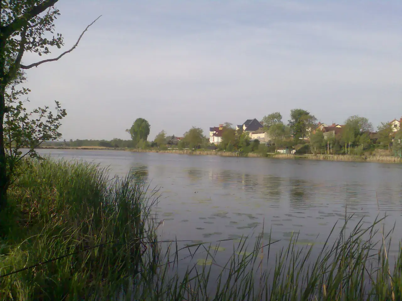 Spokojne jezioro wilanowskie z domami na brzegu i zielenią.
