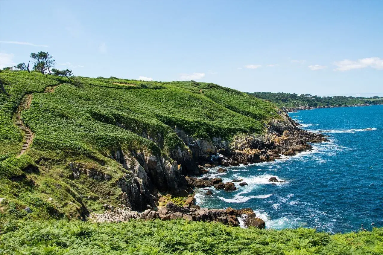 Sentier côtier verdoyant, le chemin des douaniers à Saint-Malo serpente le long de falaises rocheuses battues par la mer d'un bleu intense.