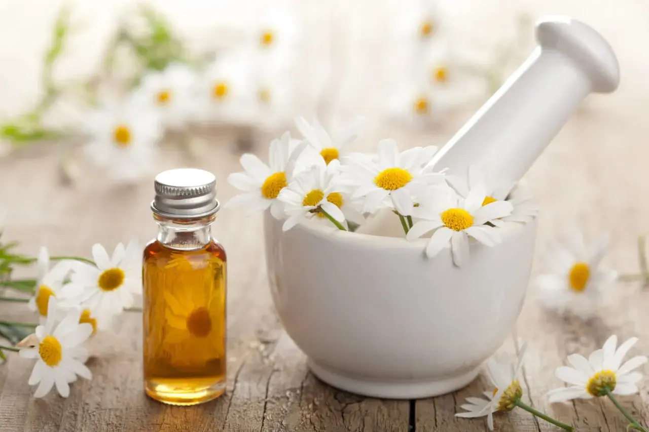Huile essentielle de camomille romaine dans un flacon, entourée de fleurs fraîches dans un mortier. Découvrez les camomille romaine bienfaits pour la relaxation.