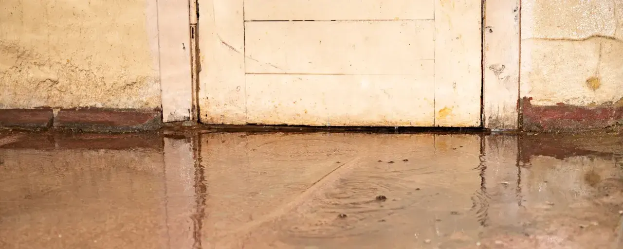 Nasser Keller: Wasser steht vor einer alten Holztür und an der Wand. Was tun?