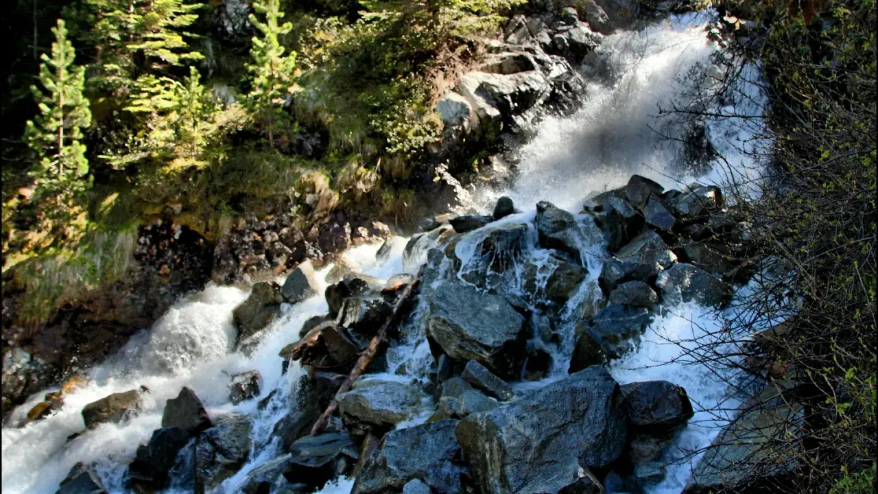 Agua blanca cae sobre rocas oscuras en una cascada de Gerber, rodeada de pinos verdes y vegetación.