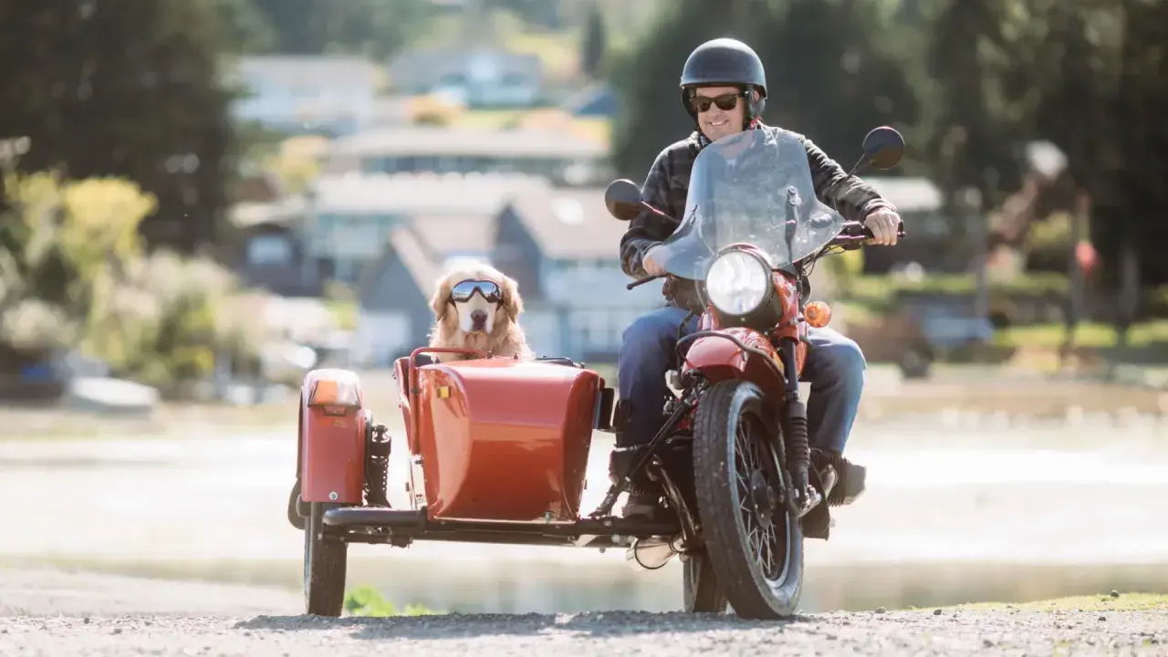 Hombre en moto con su perro en un sidecar para perros moto, ambos con gafas de sol.
