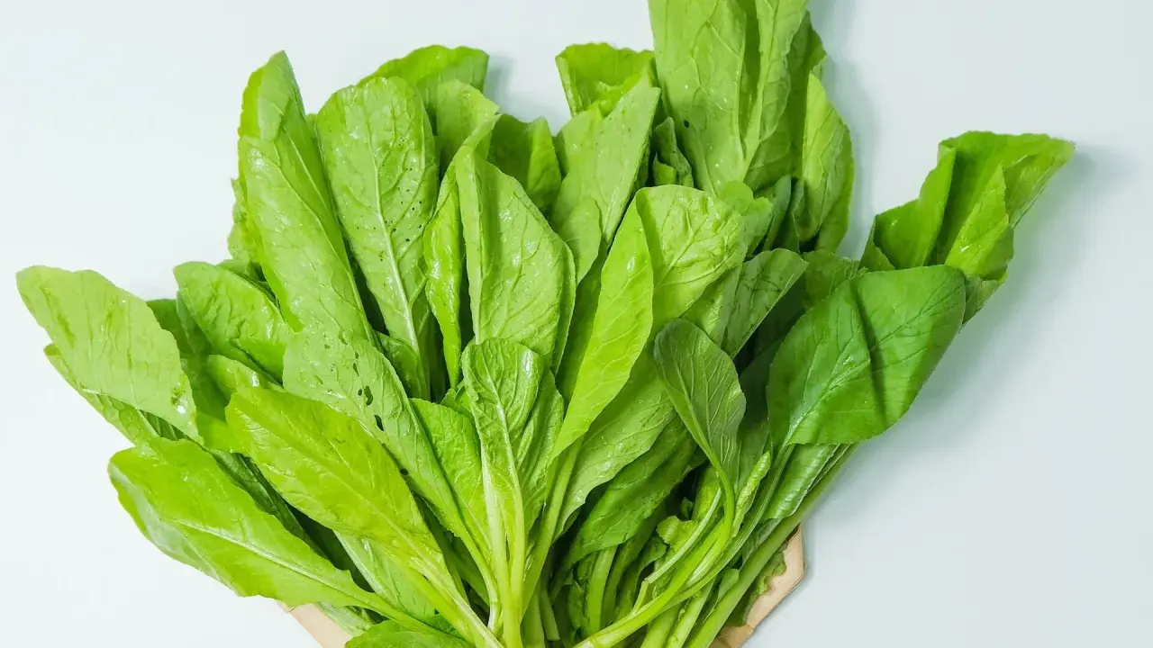 Ein Bündel frischer, grüner Blätter, die an Spinat erinnern. Dieses Blattgemüse ist ein Beweis dafür, wie gesund spinat gesund ist.