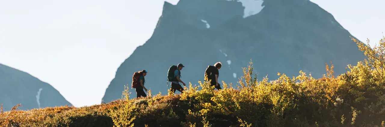 Vandrare på väg mot Kebnekaise från Nikkaluokta, med höstens färger och fjäll i bakgrunden.