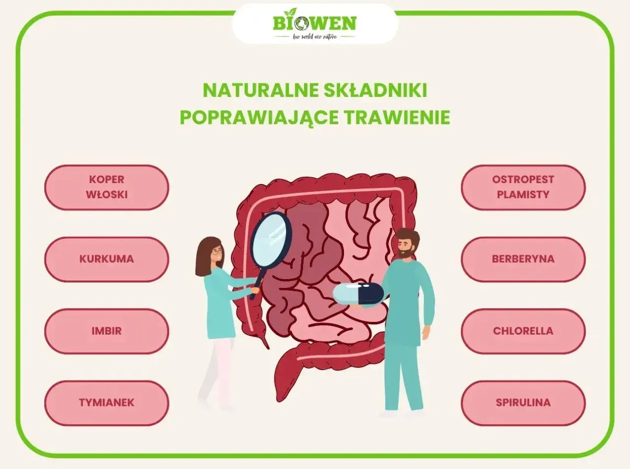 Naturalne składniki jak koper włoski, kurkuma, imbir, tymianek, ostropest plamisty, berberyna, chlorella i spirulina pomagają jak poprawić trawienie żołądka.