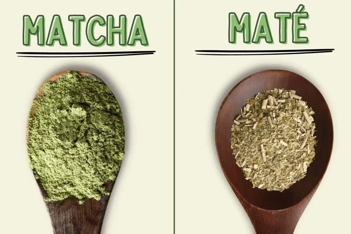 Fein gemahlenes Matcha-Pulver und zerkleinerte Mate-Blätter auf Holzlöffeln. Ein visueller Vergleich von Matcha vs. Mate.