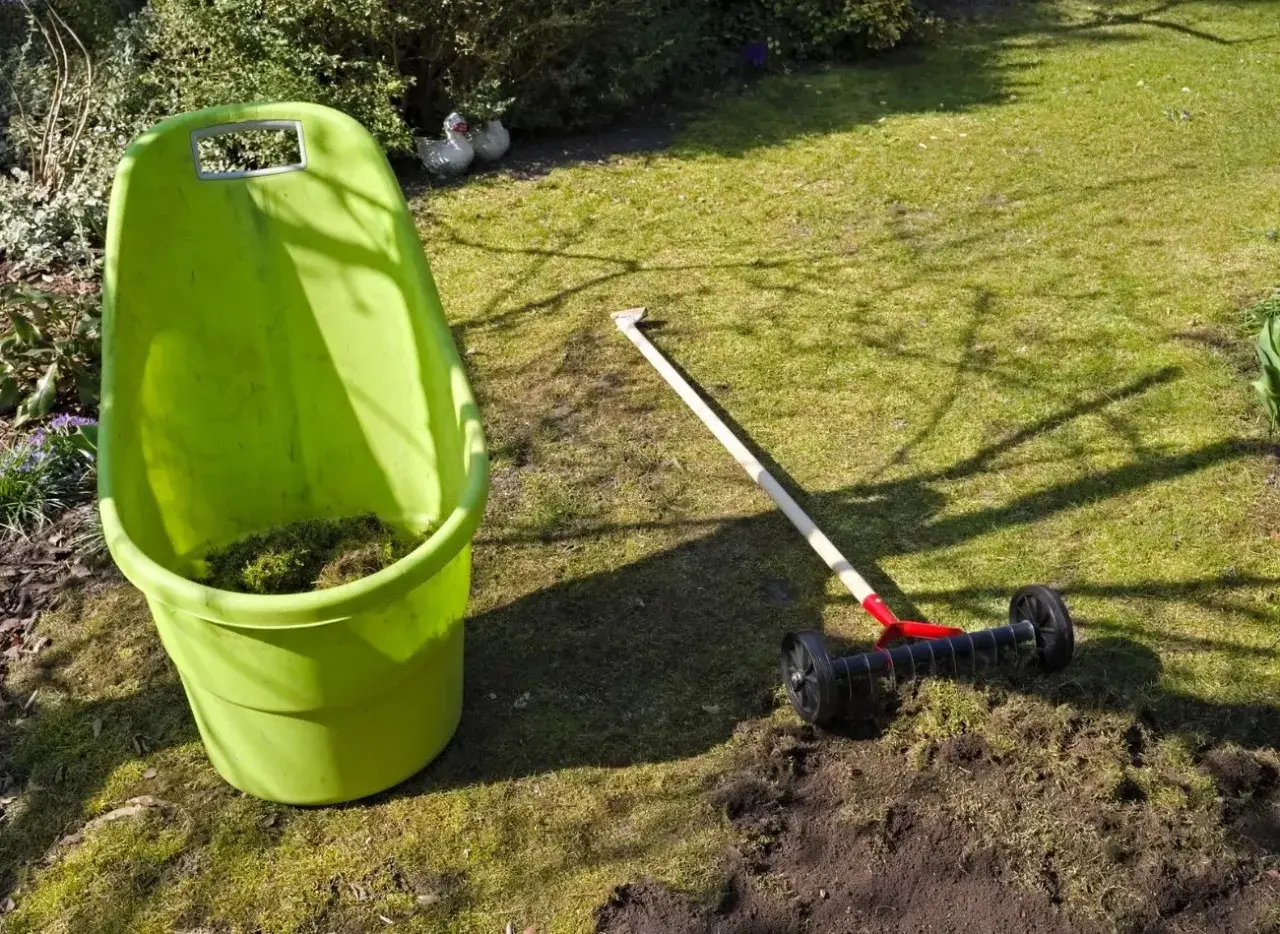 Zielony pojemnik na odpady ogrodowe i aerator do trawnika, gotowe do usunięcia mchu i resztek po zastosowaniu siarczanu żelaza.