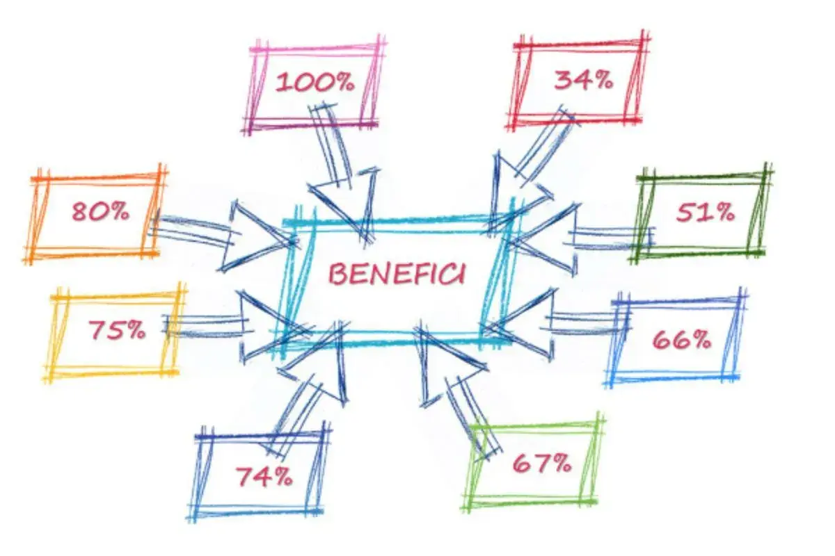 Diagramma a blocchi con "BENEFICI" al centro, circondato da percentuali (es. 74%). Utile per calcolare l'invalidità civile e l'assegno mensile.