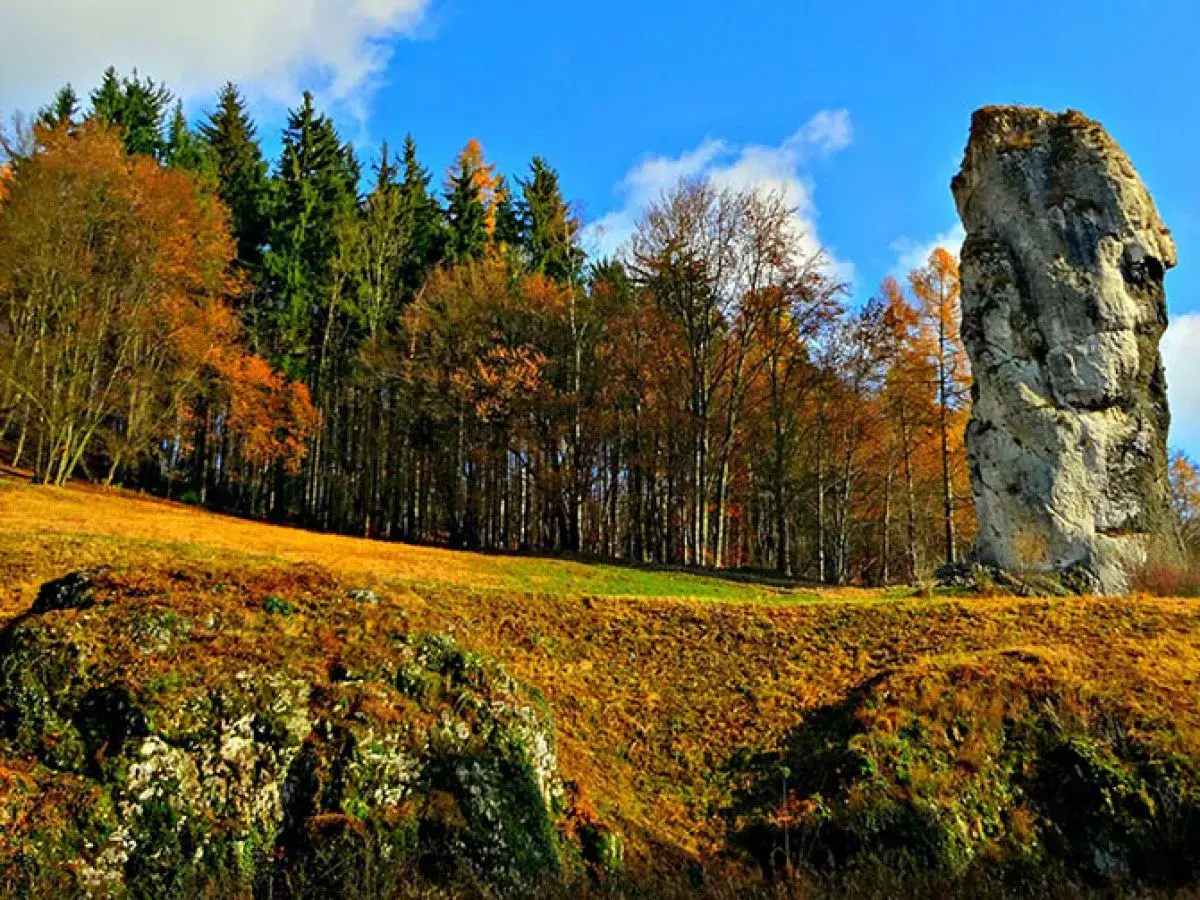 Jesienna trasa Maczuga Herkulesa. Olbrzymia skała góruje nad złotymi polami i kolorowym lasem.