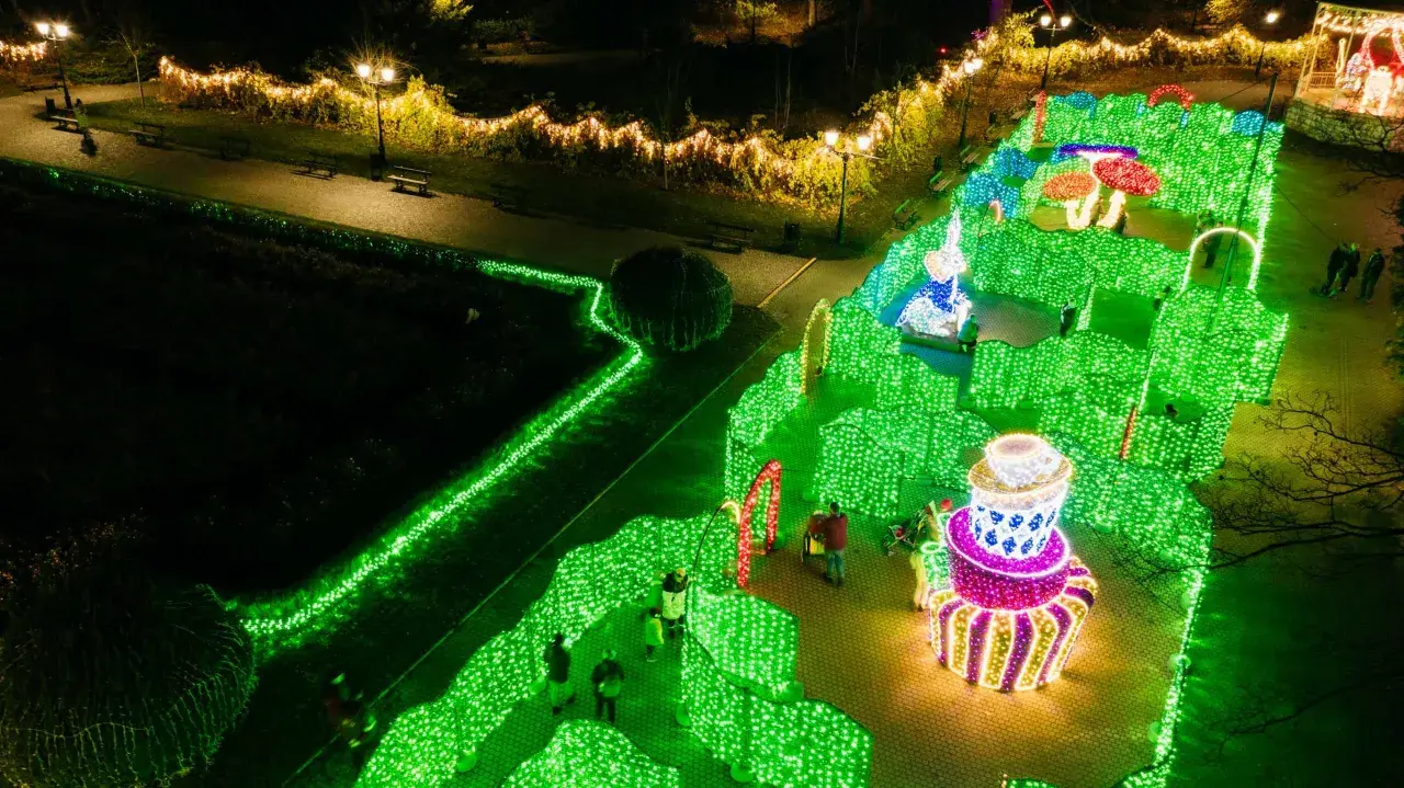 Magiczny park miliona świateł nocą. Zielone labirynty, kolorowe grzyby i gigantyczne ciastko tworzą bajkową scenerię.