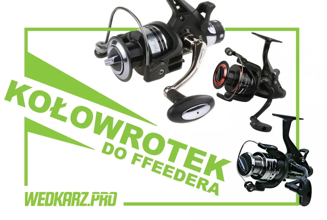 Trzy kołowrotki wędkarskie, idealne do feedera. Wybierz najlepszy kołowrotek do feedera dla siebie.