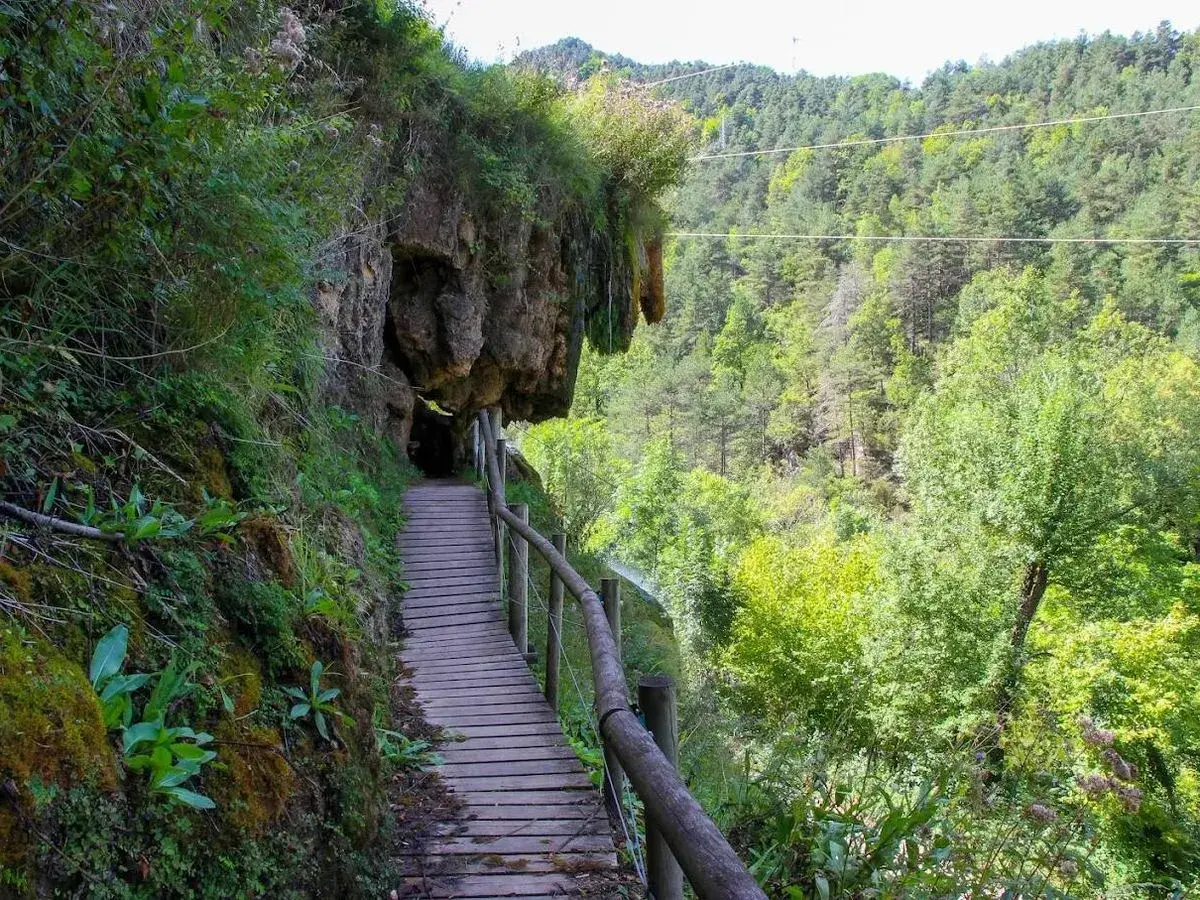 Pasarela de madera junto a un acantilado cubierto de vegetación, ideal para rutas senderismo Catalunya. Bosque frondoso al fondo.