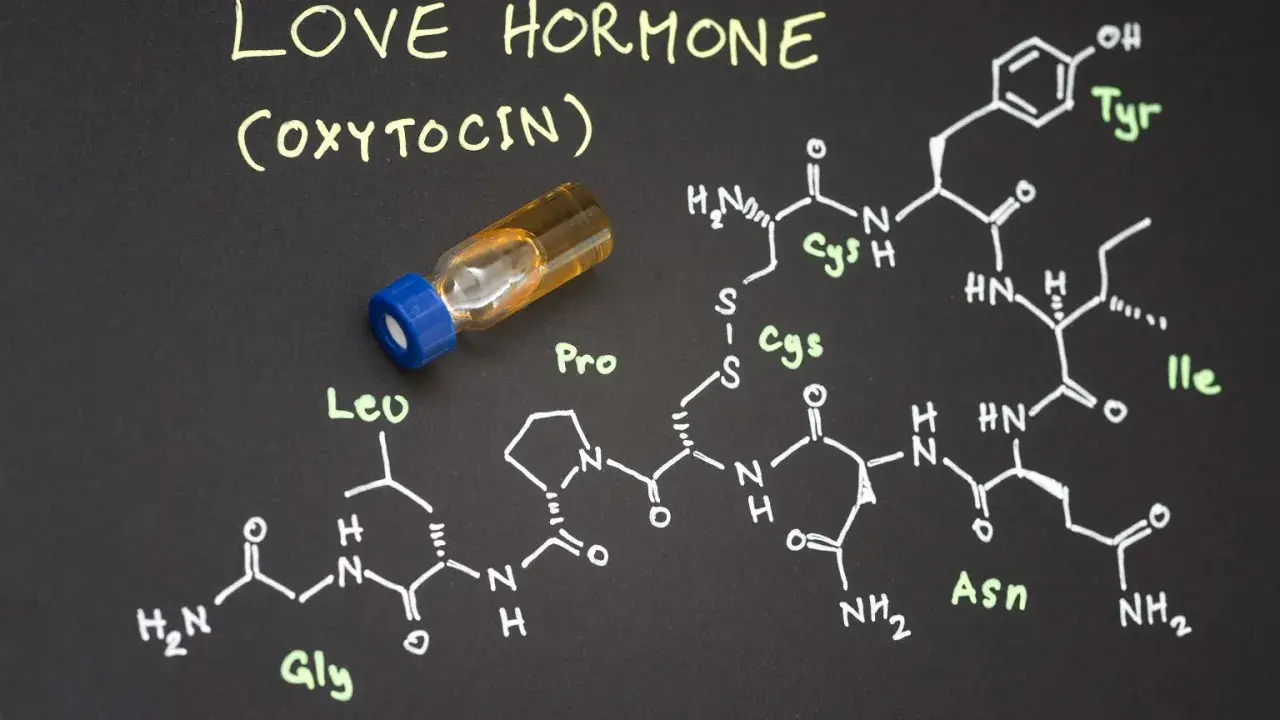 Struktura chemiczna oksytocyny, hormonu miłości, obok fiolki z płynem.