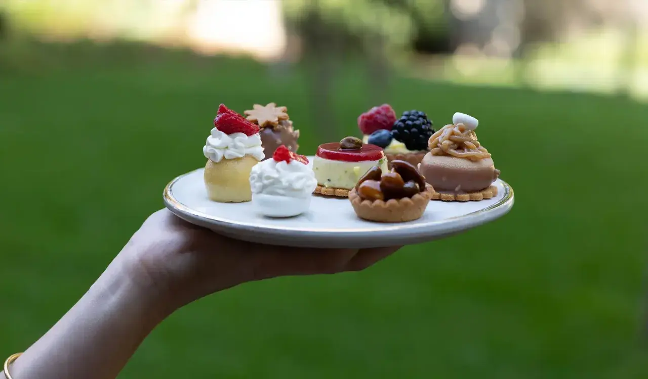 Piatto con deliziosi pasticcini mignon, perfetti per ogni occasione. Idee per dolci raffinati.