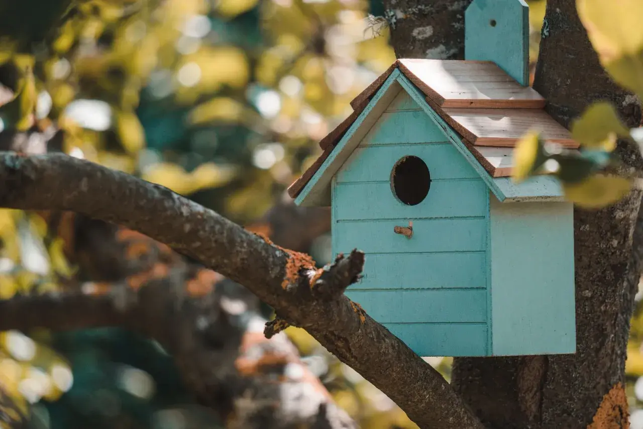 Casa para pájaros azul turquesa, con techo de madera, colgada en un árbol. Ideal para aprender como hacer una casa para pajaros.