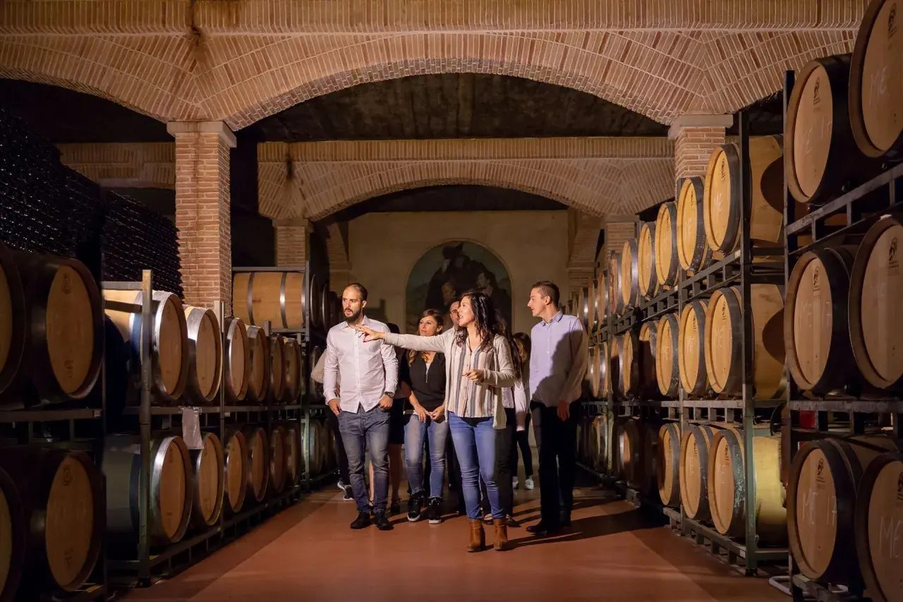 Un grupo de personas disfruta de catas en Alicante, aprendiendo sobre el proceso de elaboración del vino en una bodega con barricas de roble.