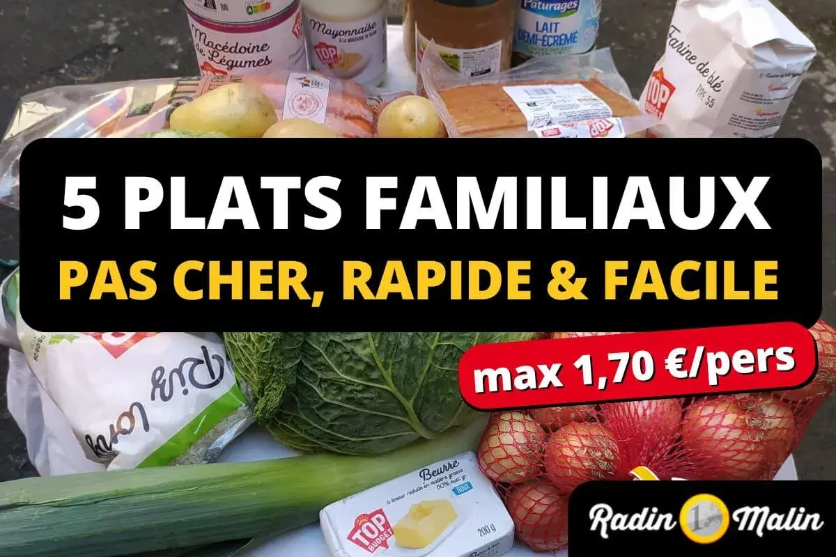 Ingrédients pour une recette pas cher : légumes, beurre, farine, lait, pommes de terre, oignons. Idéal pour 5 plats familiaux rapides et faciles.