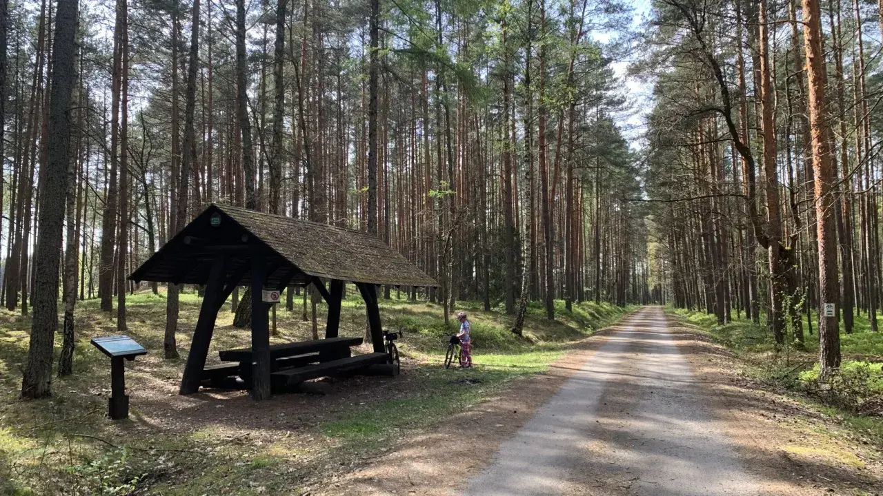 Wiatka i rower czekają na Ciebie na trasach rowerowych w Lasach Janowskich. Czas na przygodę!