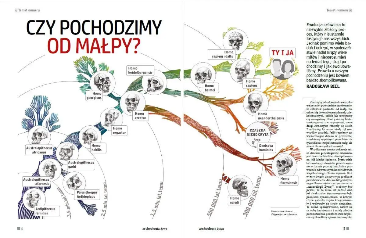 Skąd pochodzi? Odkryj fascynujące tajemnice pochodzenia ludzi i kultur