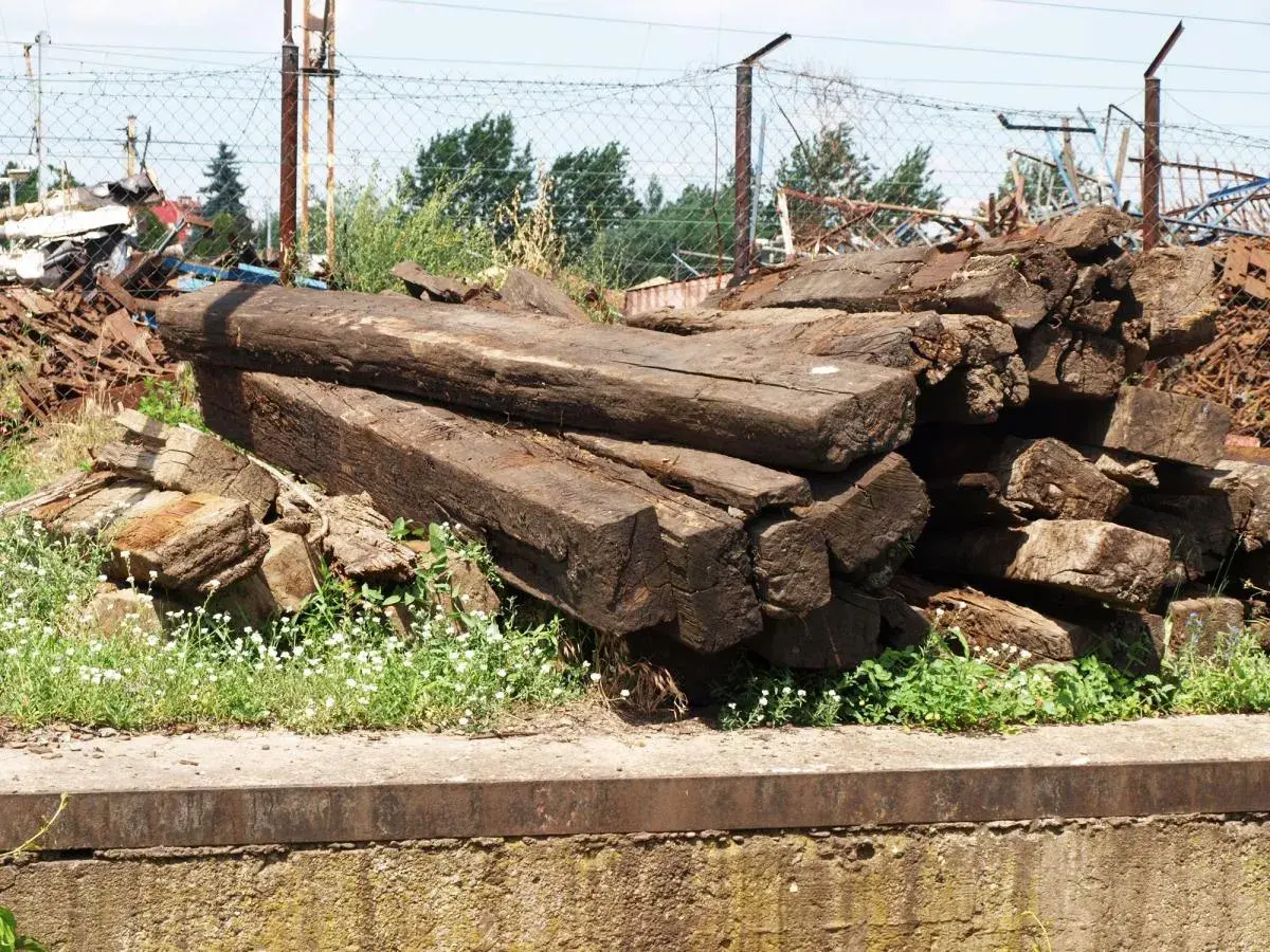 Stare, spróchniałe drewniane podkłady kolejowe leżą na hałdzie, otoczone zielenią i drobnymi białymi kwiatami.