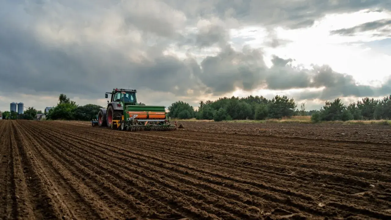 Traktor z siewnikiem pracuje na polu, kiedy sieje się rzepak. W tle silosy i las.