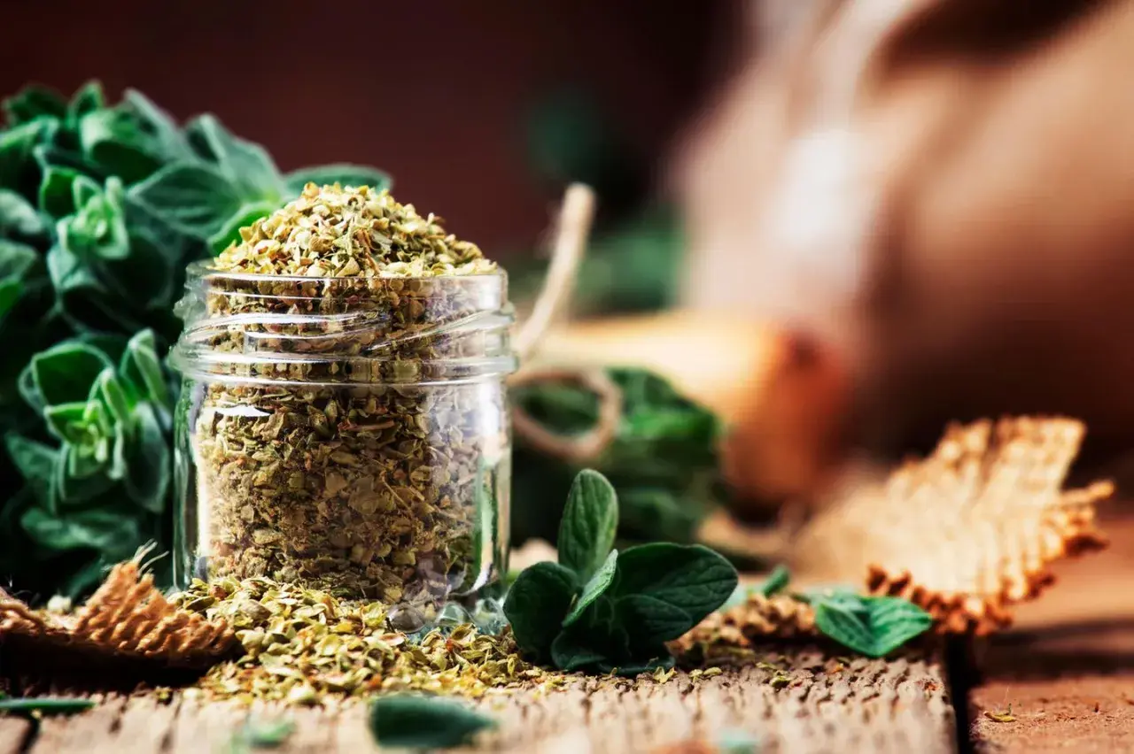 Ein Glas mit getrocknetem Oregano steht auf einem Holztisch. Frische Oreganozweige und weitere Gewürze sind im Hintergrund zu sehen.