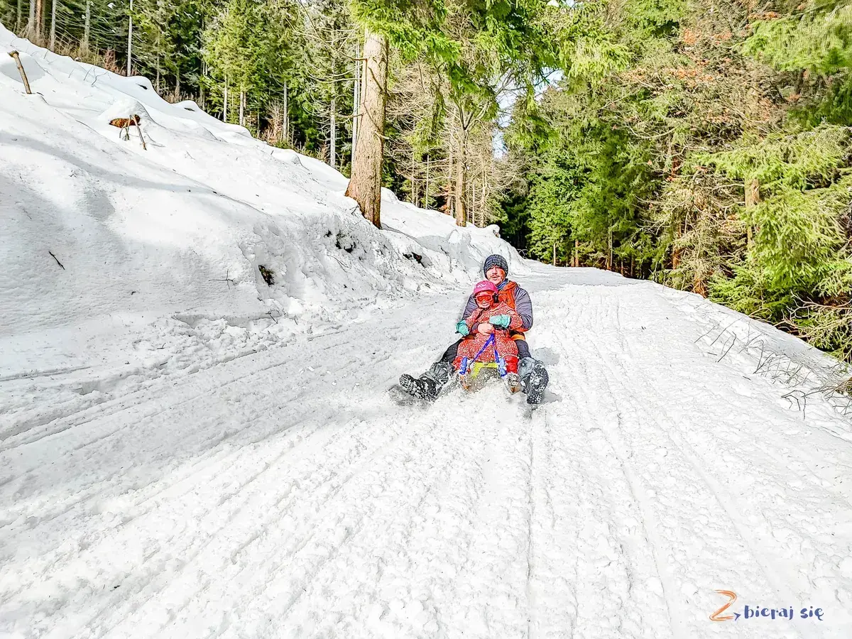 Dzieci zjeżdżają na sankach po ośnieżonym stoku w lesie. To świetna zabawa na torach saneczkowych w Polsce.