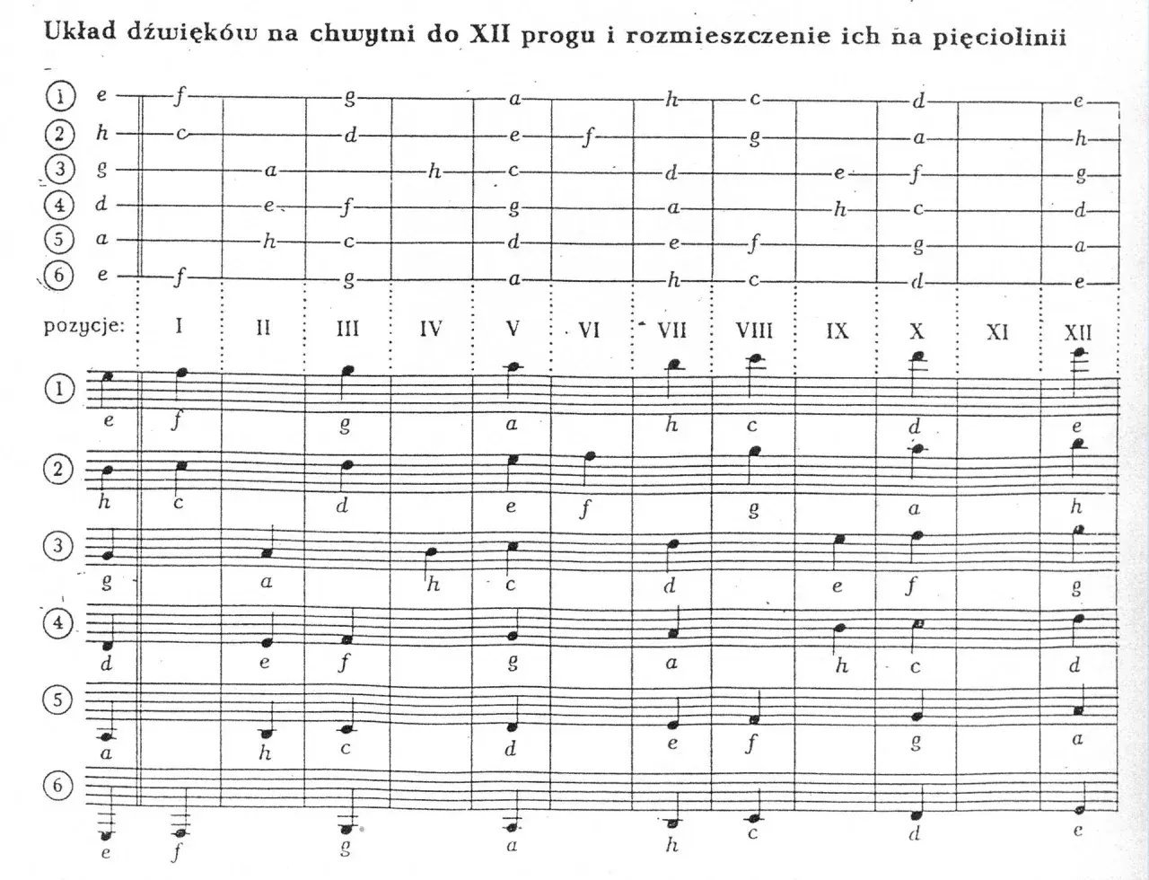 Diagram przedstawia rozmieszczenie dźwięków na gryfie gitary i nuty. Gra na gitarze nuty.