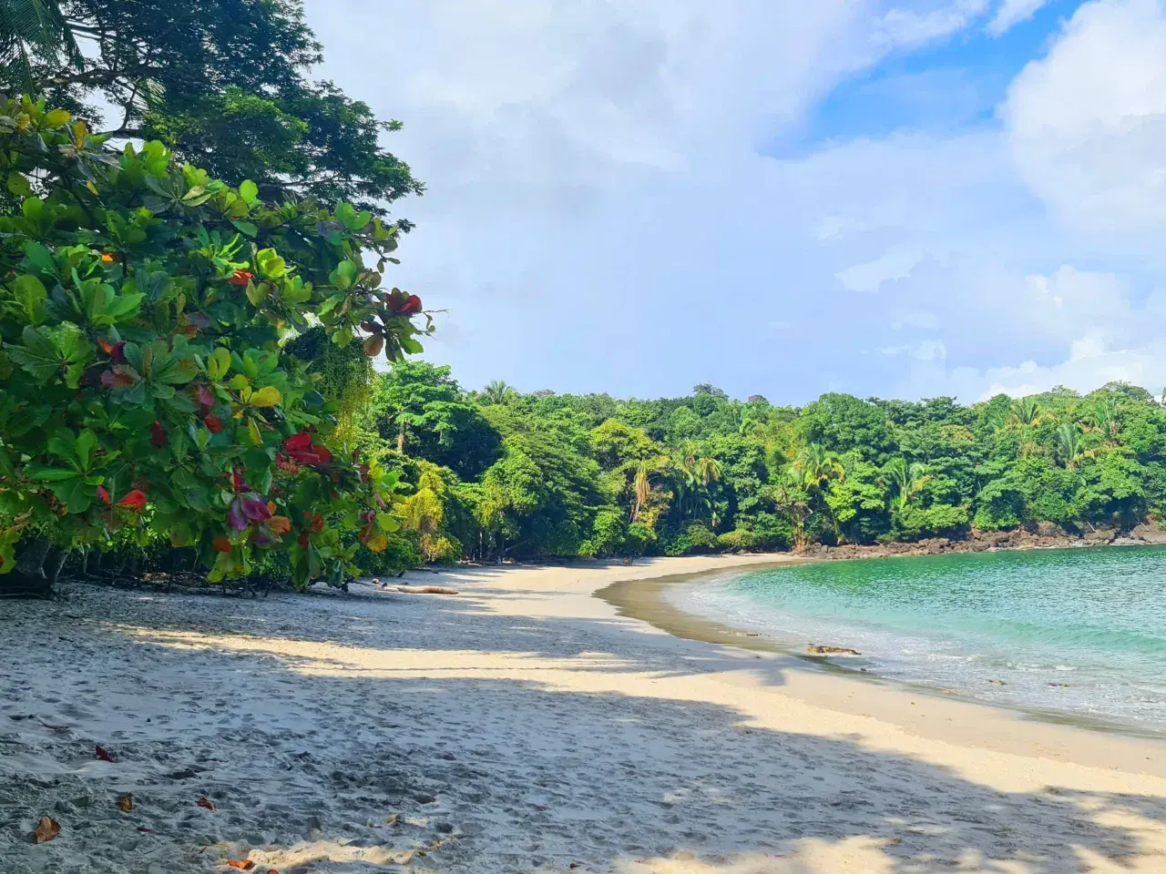 Playa virgen en Manuel Antonio, Costa Rica, con arena blanca, vegetación exuberante y aguas turquesas.