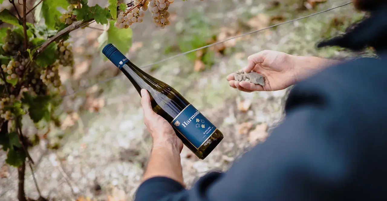 Mann hält Flasche bester Riesling Mosel neben Weinreben. Seine andere Hand zeigt Schiefergestein.