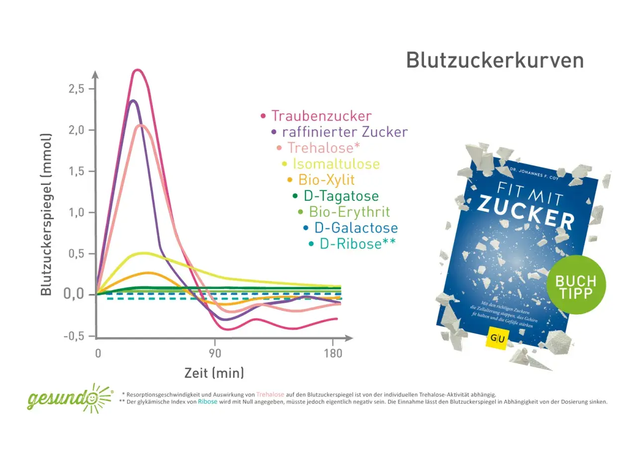 Grafik zeigt Blutzuckerkurven verschiedener Zuckerarten. Braucht der Mensch Zucker? Die Grafik gibt Hinweise auf die Wirkung verschiedener Zucker.
