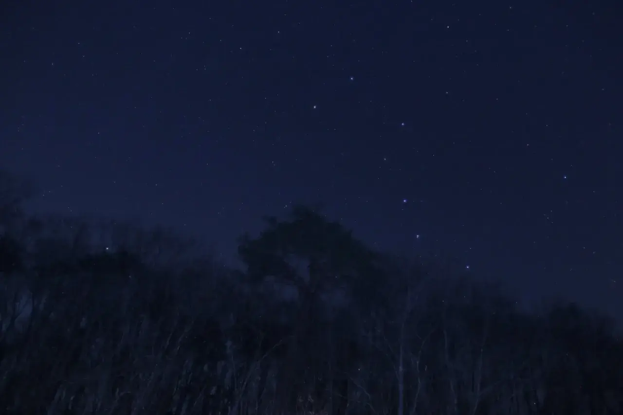 Nocne niebo nad lasem, gdzie widać gwiazdozbiór Wielkiej Niedźwiedzicy, a w jego pobliżu jaśnieje gwiazda polarna z bliska.