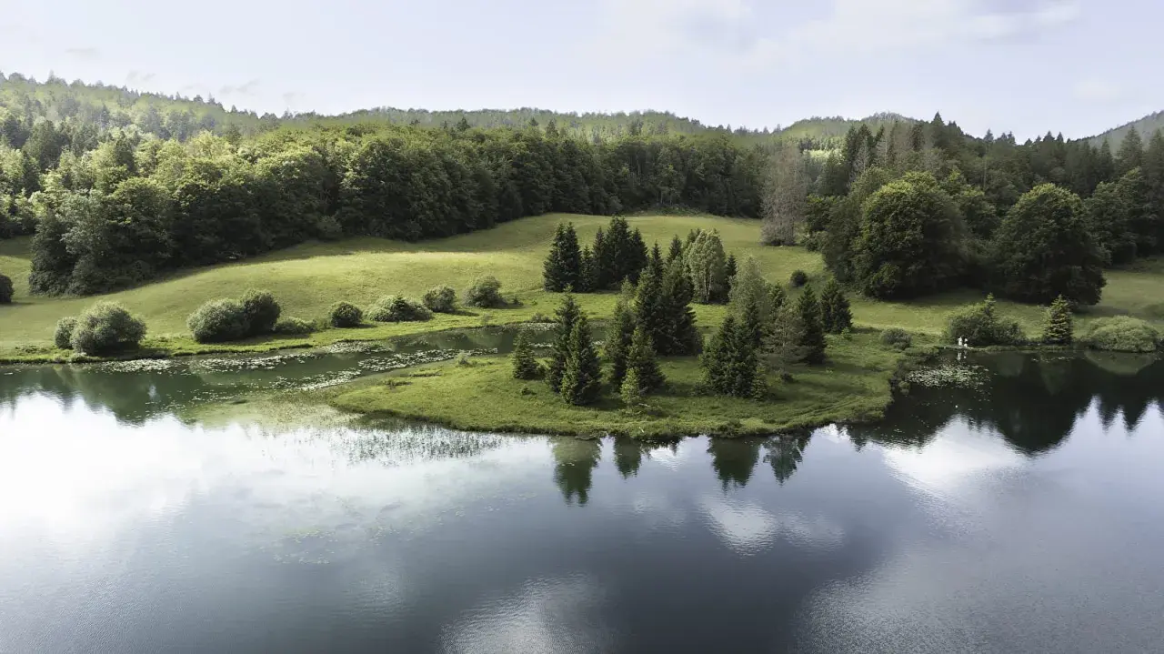 Vue aérienne d'un lac paisible dans le Jura, entouré de prairies verdoyantes et de forêts denses.